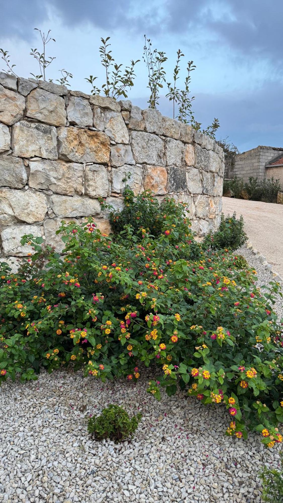 Villa Casa De Alcaria Alcaria  Esterno foto